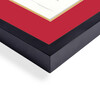 Diploma Frame University/College & RED MATTE