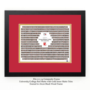 Frame For 11x14 Composite with a RED Mat & Gold Liner