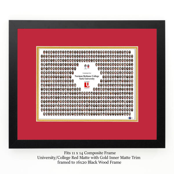 Frame For 11x14 Composite with a RED Mat & Gold Liner